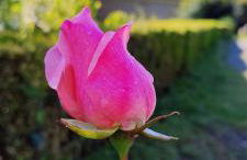 Chavarri Etxea, casa indiana XBI00149 - Foto 65