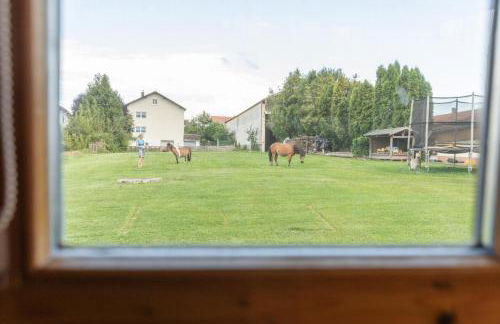 Gästehaus Meier Ferienwohnung und Camping - Foto 16