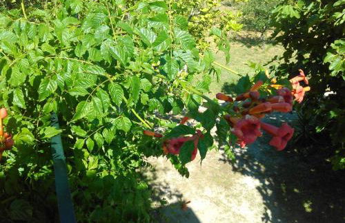 Casa Do Fiscal - Foto 27