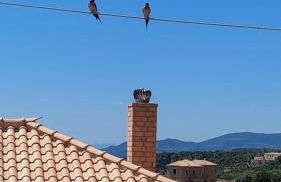 Villa Achilleas - Foto 33