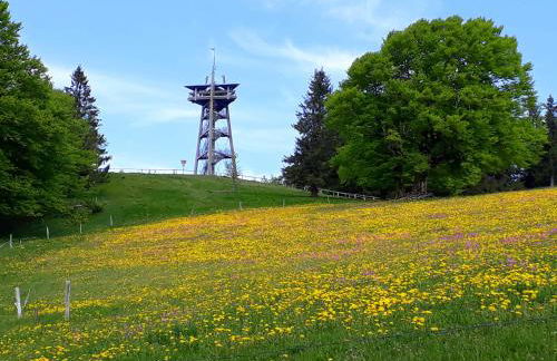 Sport Rees - Ferienwohnung Ulrike - Foto 32