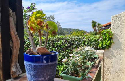 Bel appartement au calme avec terrasse aperçu mer, jardinet et piscine - Foto 25