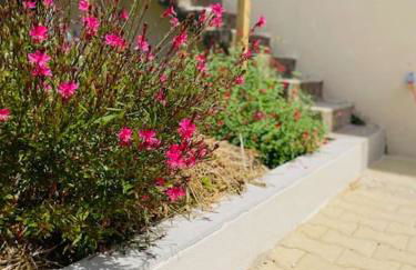 la maison Massonat - Foto 17