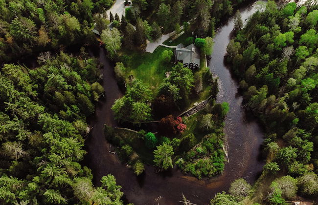 Grayling Gem Royal Stag Lodge - Foto 64