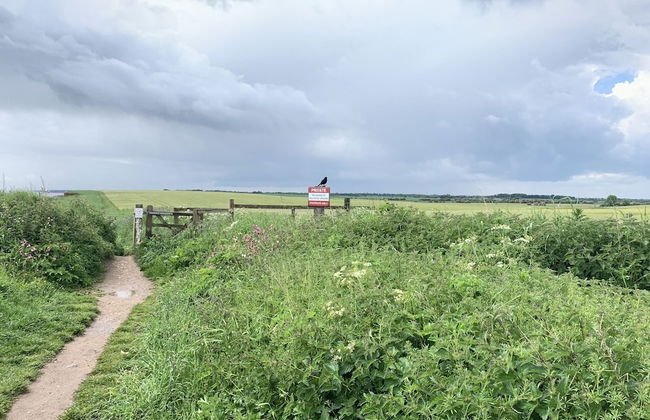 One Bedroom Barn With Free Parking - Photo 9