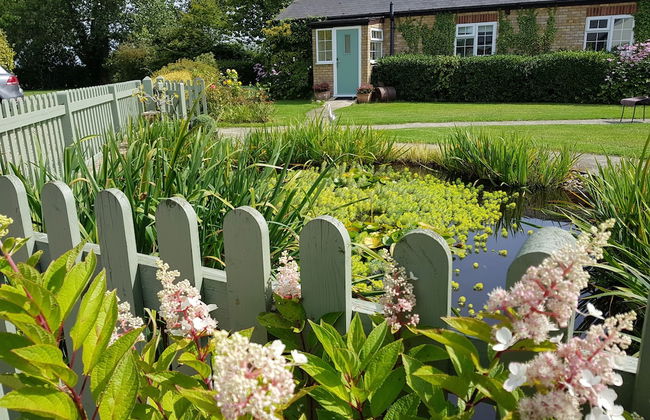 Hawthorn Farm Cottages - Foto 1