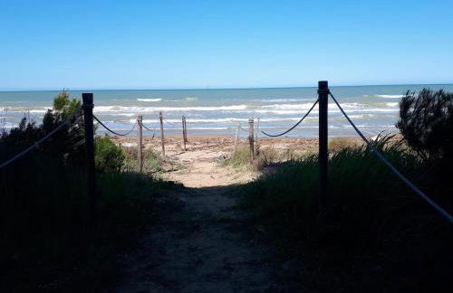 Pineto-Italy-Appartamento vista Mare e Pineta - Photo 33