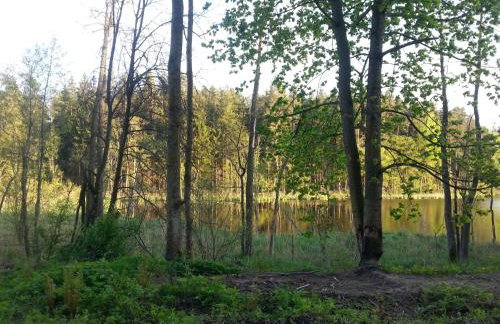 Wiejska Chata - Foto 43