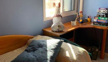 Balcon de Tabaiba - Foto 4