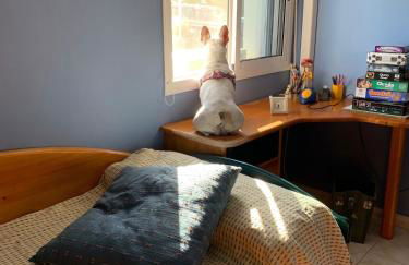 Balcon de Tabaiba - Foto 4