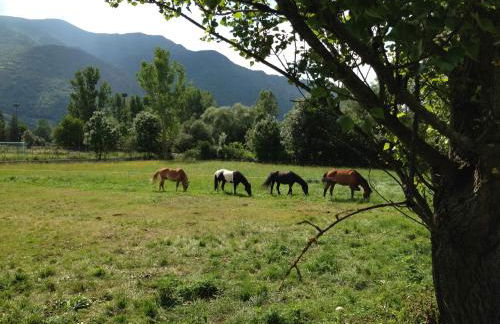 Apartaments Pirinenc - Photo 17