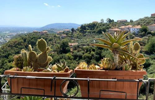 Vezzhouse - Photo 19