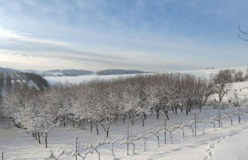 Holiday Home Moja Mała Toskania by Interhome - Foto 26