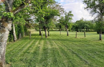 Hébergements Sylvain - Foto 26