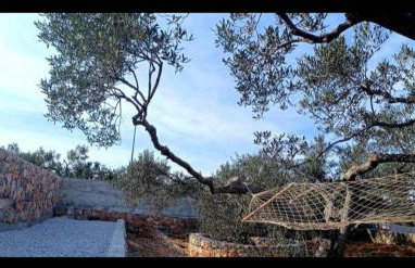 Apartmani AS - Foto 36