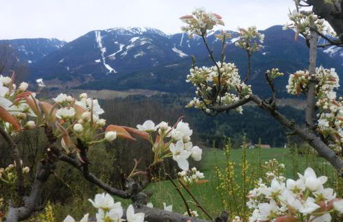 Casa Erica - Carano - Foto 32