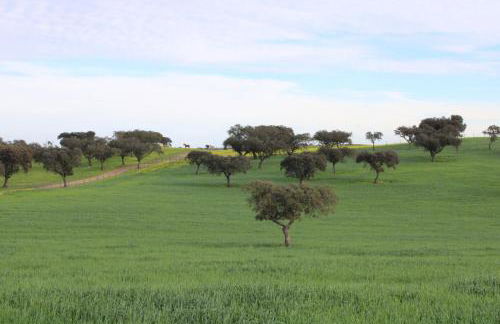 Herdade da Boavista - Foto 57