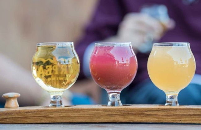 Tour da cerveja artesanal por Teutônia - Foto 2