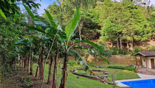 Chácara em Nova Friburgo (espaço inteiro) - Foto 3