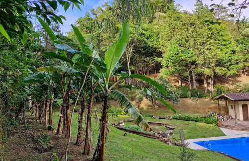 Chácara em Nova Friburgo (espaço inteiro) - Foto 3