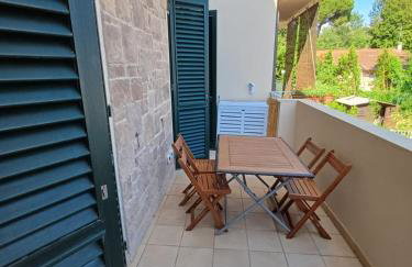 Elegante appartamento Tirrenia - Foto 2