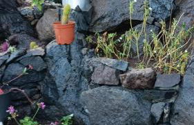 Casa Puerto de la Estaca - Foto 6