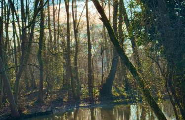 La Villa des Coccinelles - Photo 28