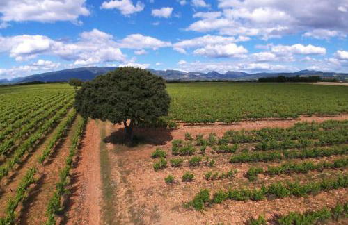 appartement. 2 à 4 pers. lit Queen-size. Au calme. - Foto 21