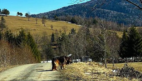 Chyża Chata na Krańcu Świata - Foto 4