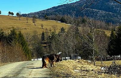 Chyża Chata na Krańcu Świata - Foto 4
