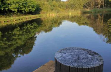 Siedlisko Sielska Dolina Nad Stawem luksusowy domek całoroczny z fińską sauną - Foto 31