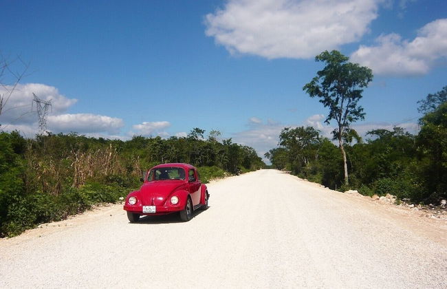 Room-antigua Lodge, Away From the Crowds - Foto 21