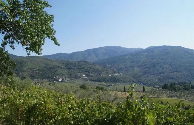 Agriturismo Poggio di Montepescoli - Il Forno - Foto 25