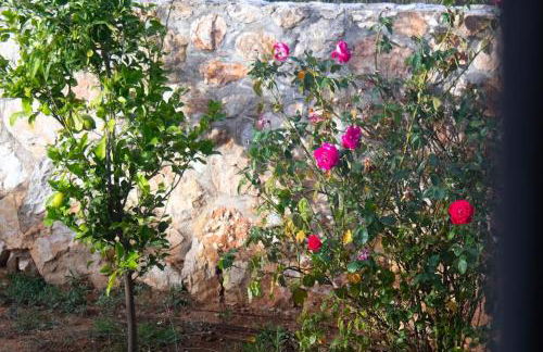 Ariadnis Spacious 3Bd home, 10 mins to Airport, Port, Beach - Foto 46