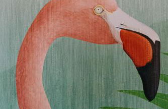 Terra X Apartments - Foto 68