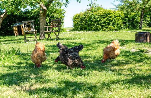 Ferienwohnung Landleben - Foto 23