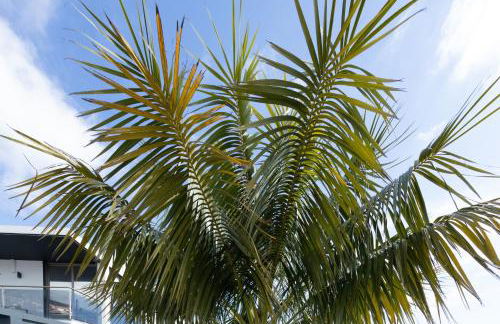 Villa Andrade Ocean View - Foto 32