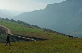 Degli Alessandri house - Foto 46