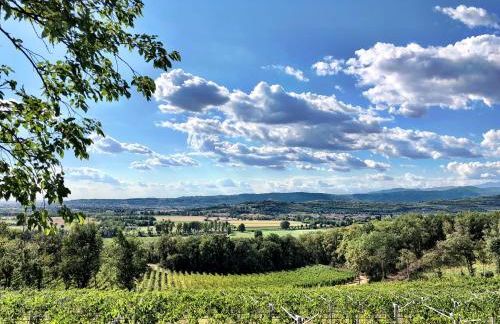 Musella Winery & Relais - Foto 110