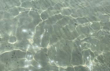 ONDA AZZURRA - PIANO TERRA - Foto 14