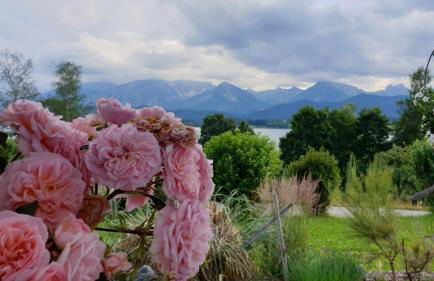 Landhaus Amberg Hopfen am See // Hopfensee // Füssen - Foto 13