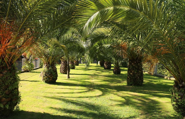 Rusticae Torre do Río - Photo 56