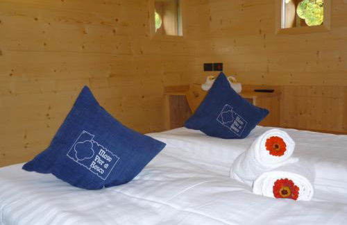 Maso Fior di Bosco - Val di Rabbi - Esercizio Rurale - Foto 59