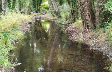 Apartamento Rural El Rinconcito - Foto 28