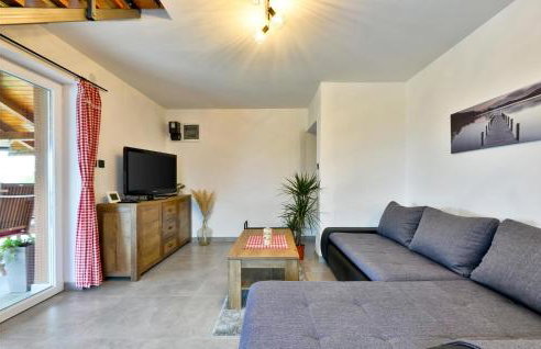 Nice Home In Nova Diklenica With Sauna - Foto 21