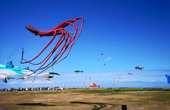 Landhaus Kaisershof - Foto 30