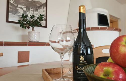 Urlaub auf dem Bauernhof Schmidhof - große Terrasse, Pool und beste Lage - Foto 6