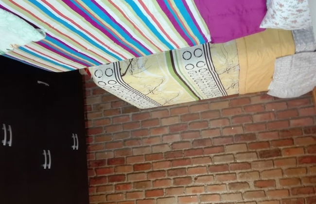 Leo's Tinal - Foto 8