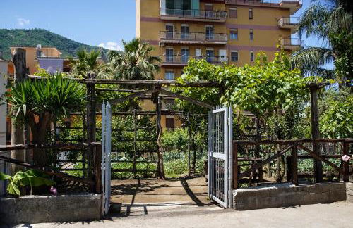 La Sorrentina - Foto 31