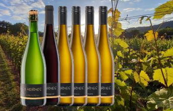 WeinGut Hermes - Foto 97